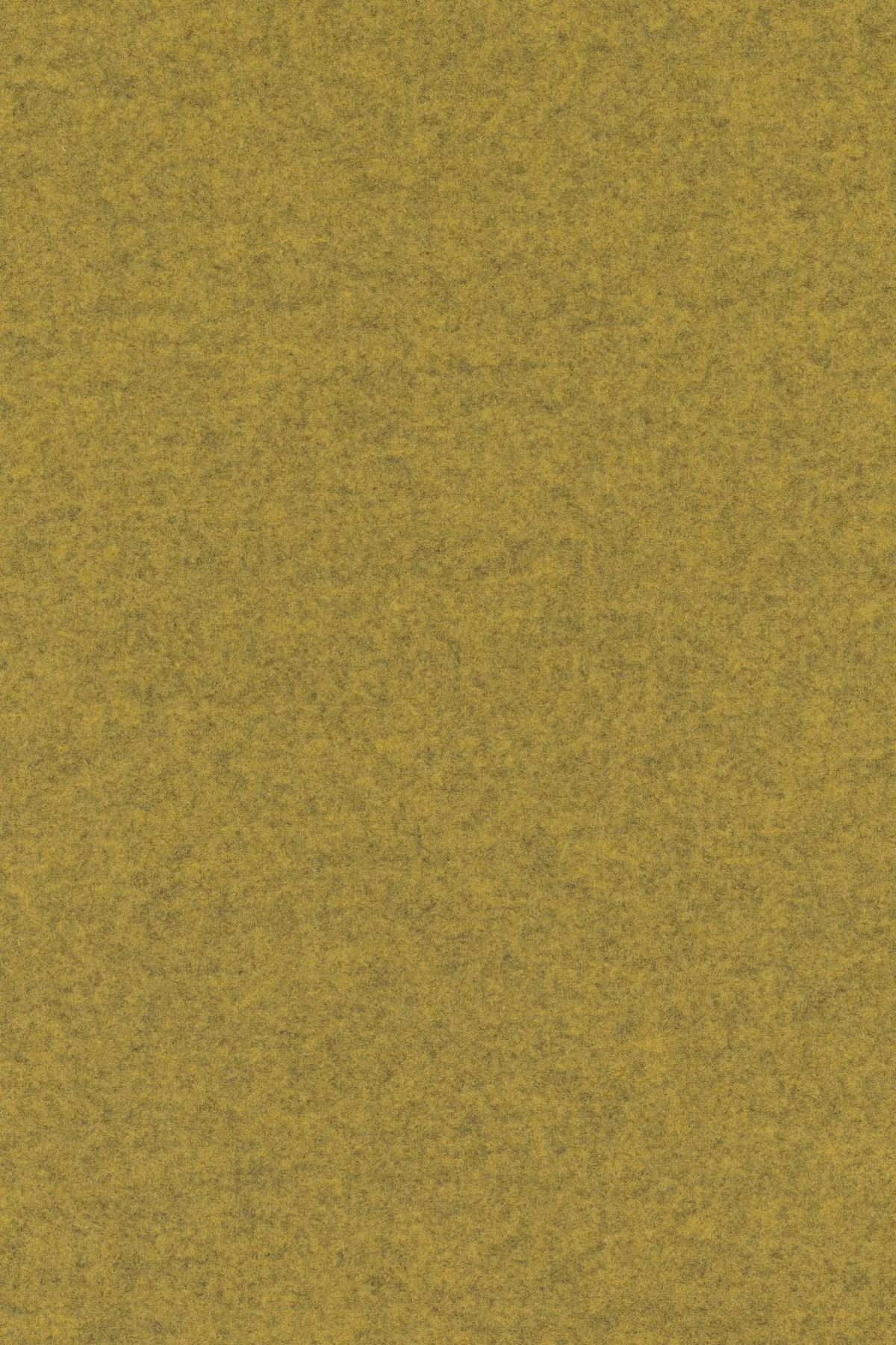 Divina melange 3, 427